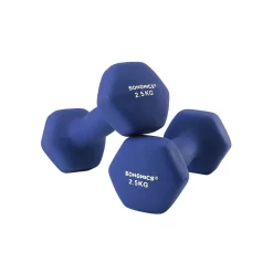 2 Haltères 2,5 kg-SONGMICS HOME Sale